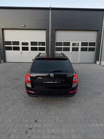 Skoda Octavia III 1.8 TSI DSG 19. kép